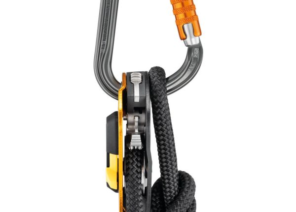 Móc khóa Petzl WILLIAM Carabiner có mặt trong linh hoạt, công suất lớn để chứa được nhiều thiết bị